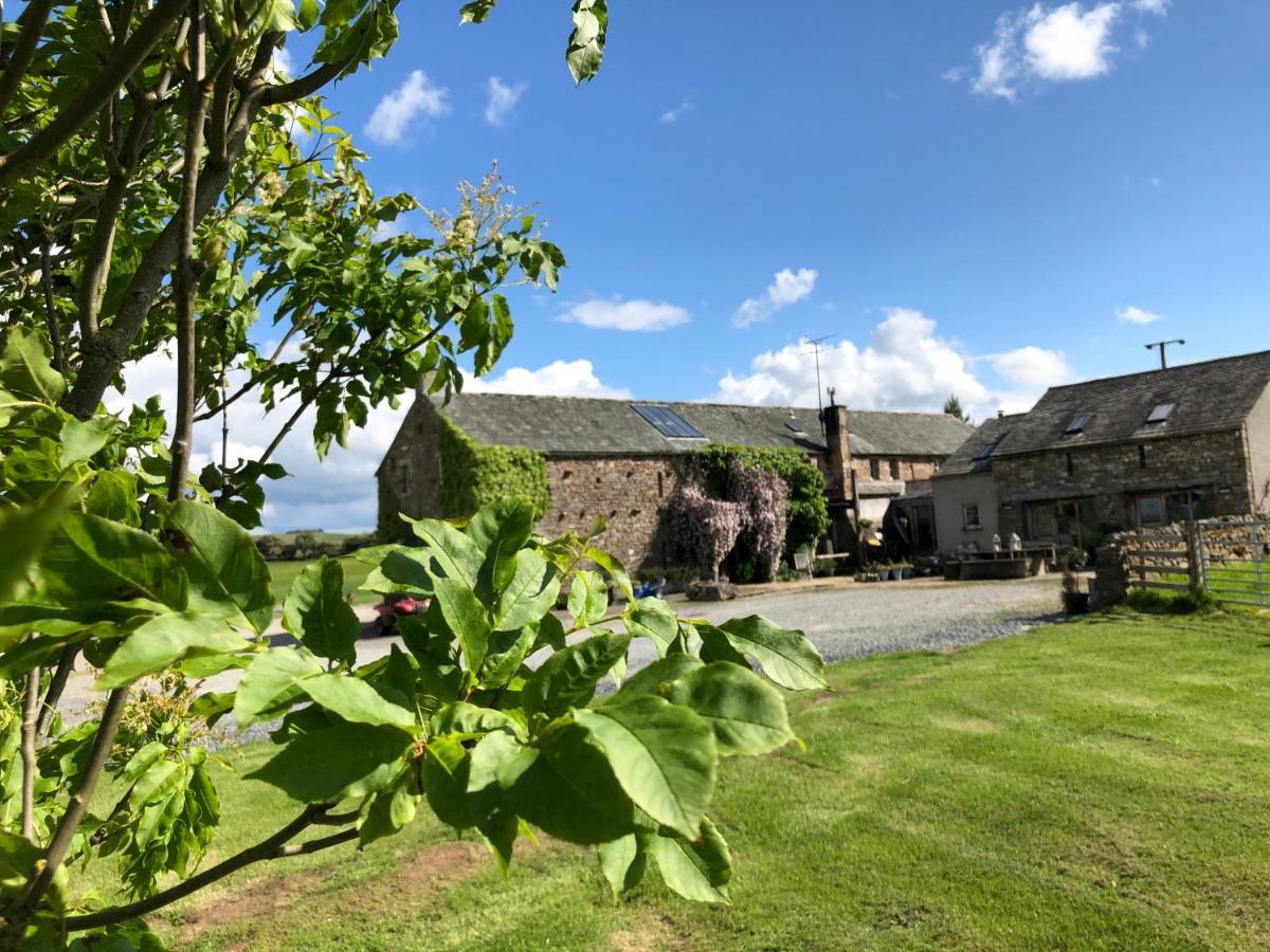 Crake Trees Manor Bed and Breakfast Crosby Ravensworth Εξωτερικό φωτογραφία